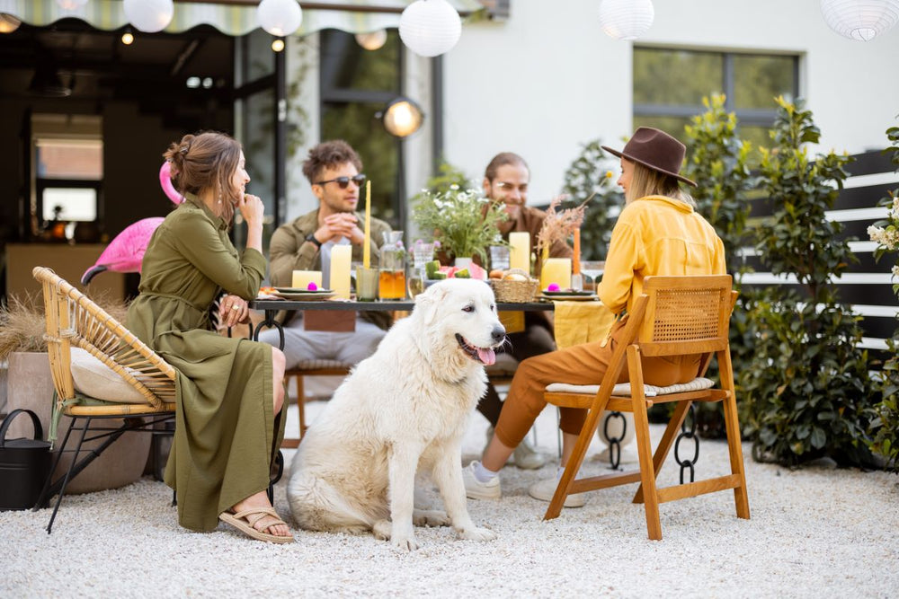 People and dogs enjoying a pet-friendly patio in Las Vegas